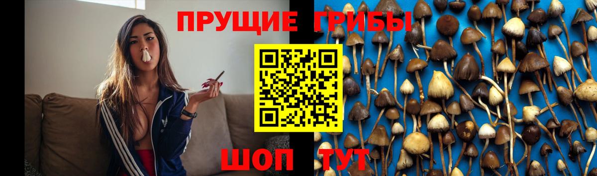 Псилоцибиновые грибы Magic Shrooms Славянск-на-Кубани